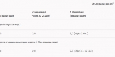 Aujeszkyjeva bolest kod svinja